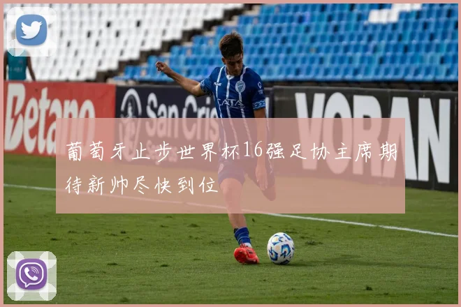 葡萄牙止步世界杯16强足协主席期待新帅尽快到位
