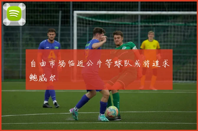 自由市场临近公牛等球队或将追求鲍威尔