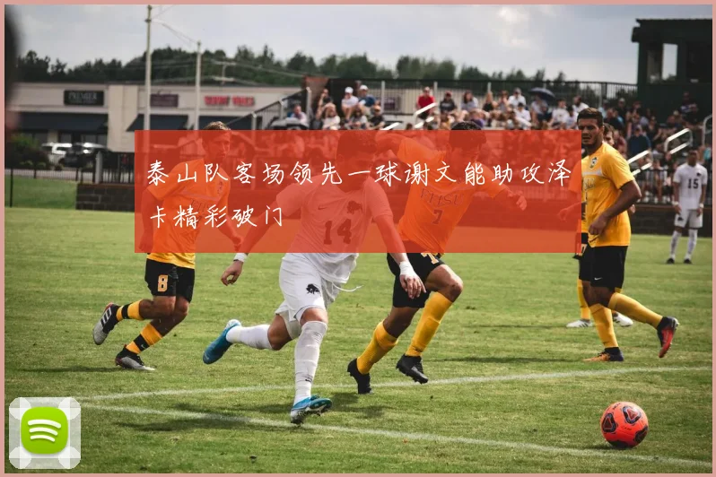 泰山队客场领先一球谢文能助攻泽卡精彩破门